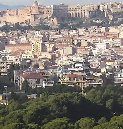 Ilm ゲストハウス