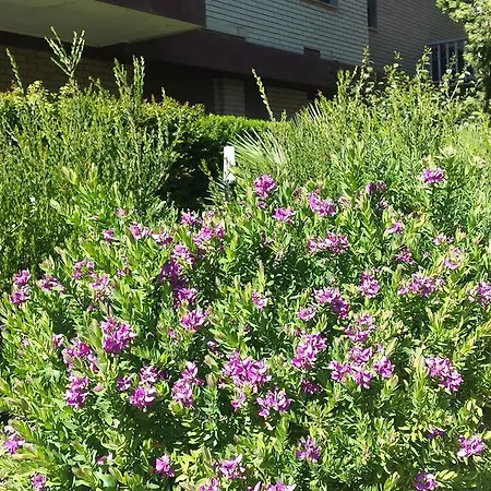 Maison d'hôtes Ilm 3*